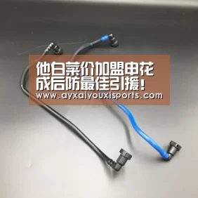 他白菜价加盟申花成后防最佳引援！曾是徐根宝最得意的爱将：ayx