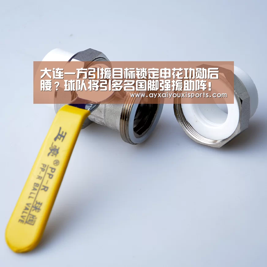 大连一方引援目标锁定申花功勋后腰？球队将引多名国脚强援助阵！【ayx】