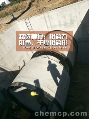 精选美食:椒盐九肚鱼、干煸椒盐排骨、双椒炒牛肚丝的做法_爱游戏全站(图2) 爱游戏全站